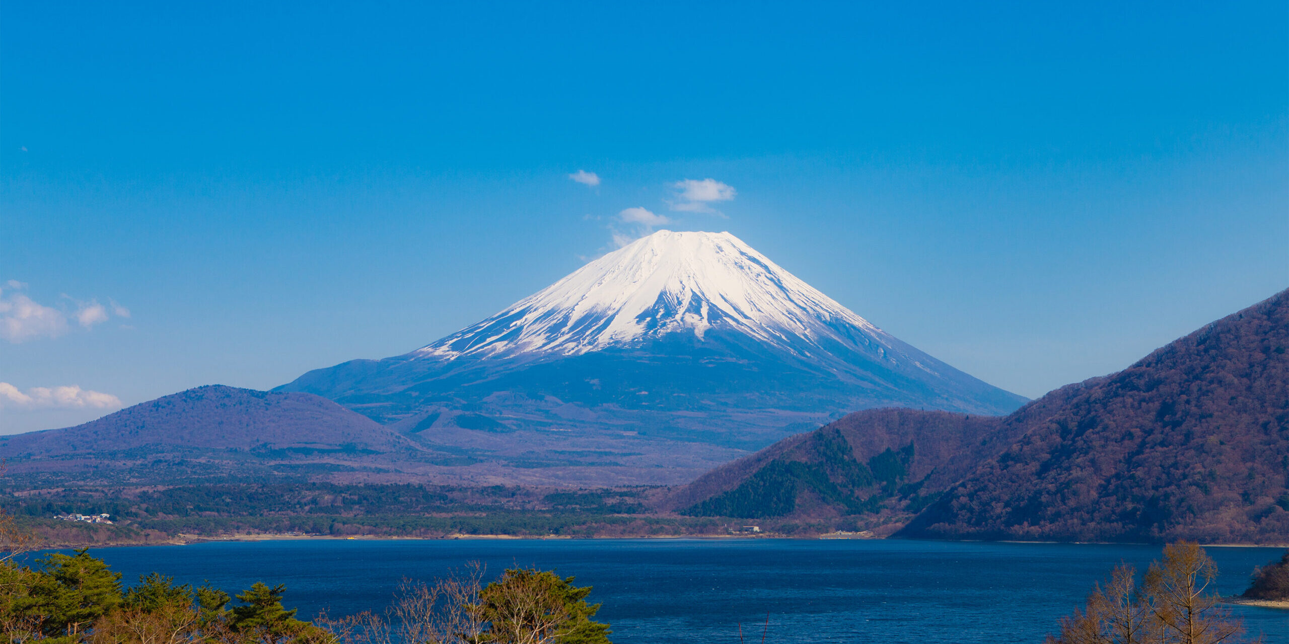fuji